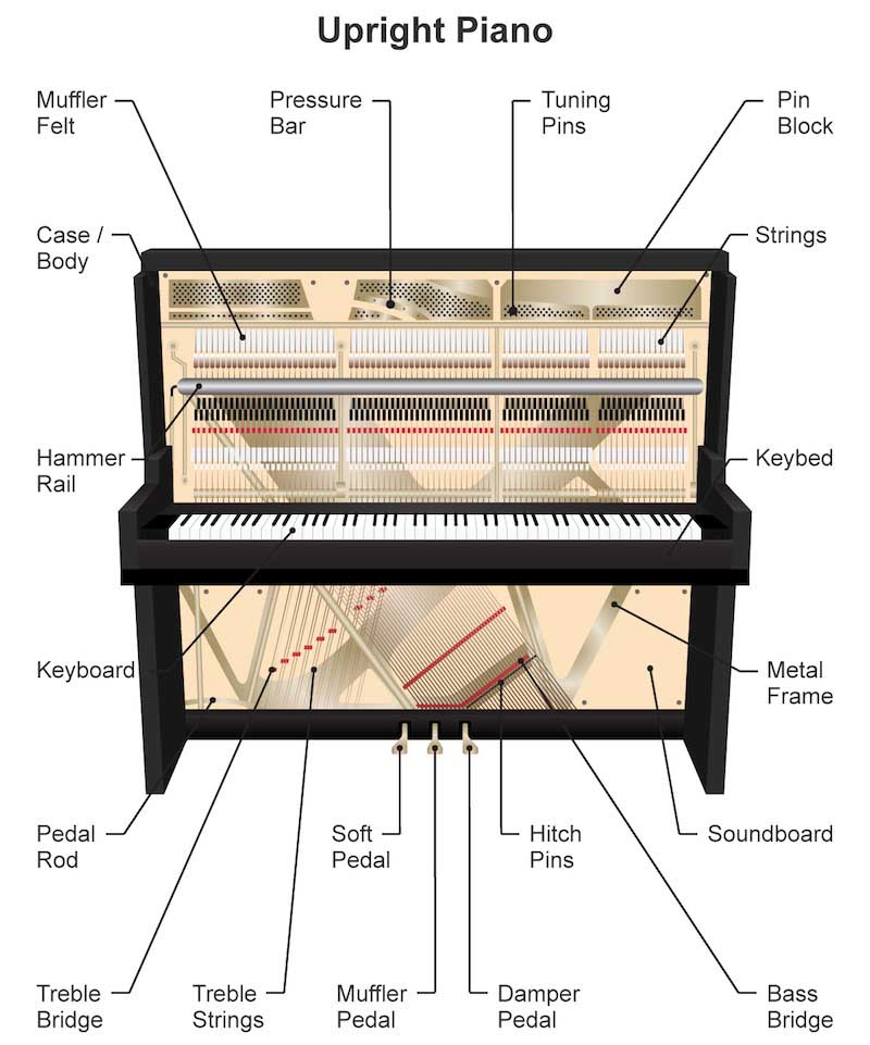 hình mô phỏng cấu tạo đàn piano dáng đứng