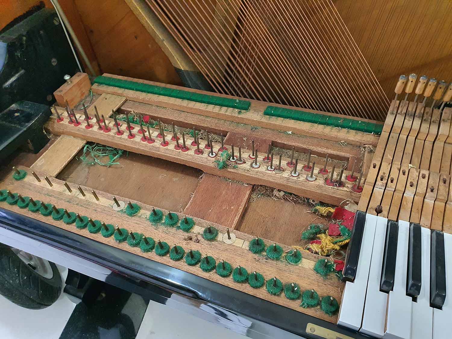 đàn piano bị chuột cắn