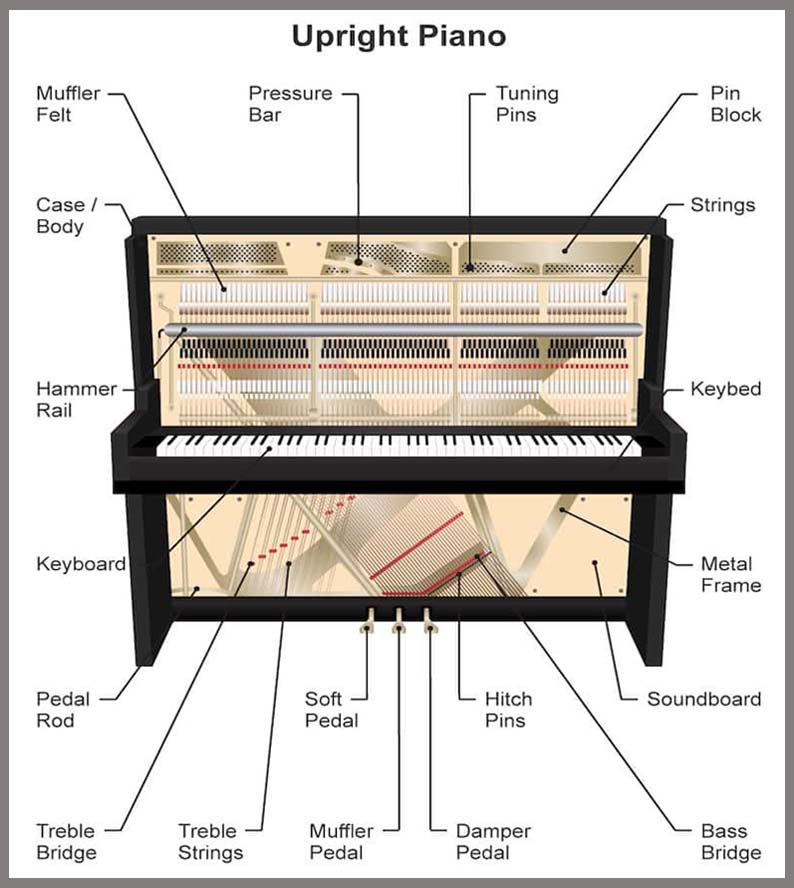 cau-tao-dan-piano